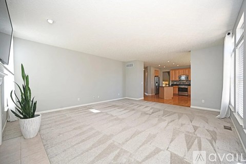 A living room with a carpet and a plant.