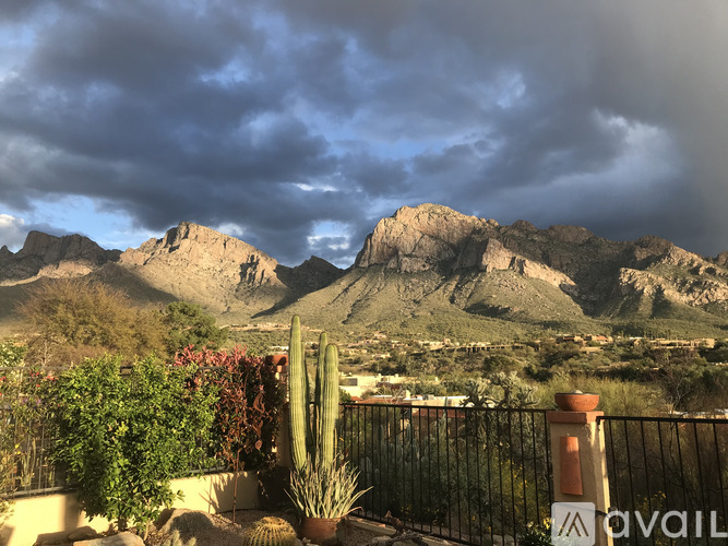 A cactus and a fence in front of a mountain.