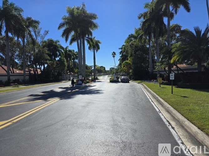 A street lined with palm trees under a clear blue sky.