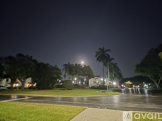 A nighttime street view with palm trees and street lights.