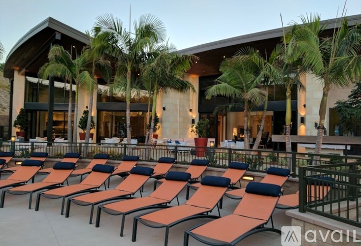 A row of orange lounge chairs are arranged in front of a building with palm trees.