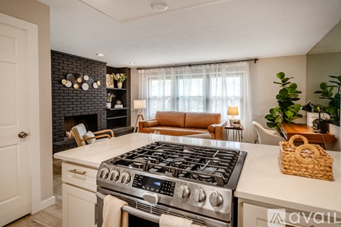 A modern kitchen with a stove top oven and a living room area with a couch and a plant.