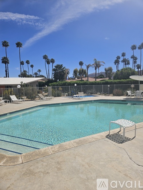 A pool surrounded by palm trees and a fence.