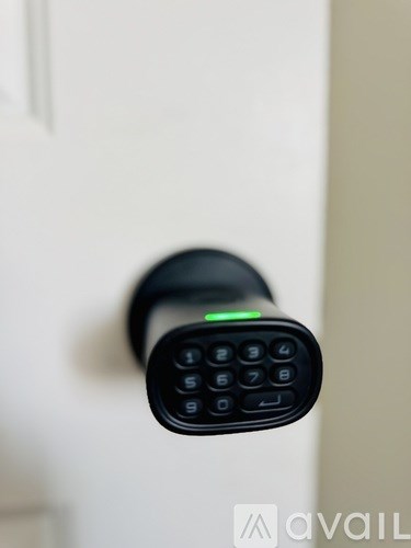 A black keypad is mounted on a white door.