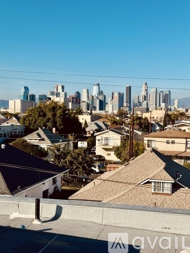A city skyline is visible in the distance behind houses with brown roofs.