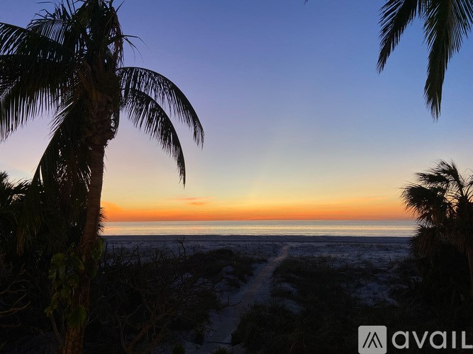 A palm tree stands in front of a sunset over the ocean.