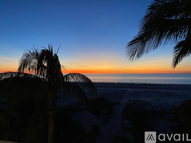 A beautiful sunset with palm trees silhouetted against the sky.