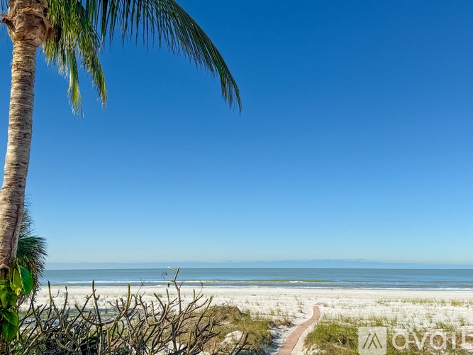 A palm tree stands tall on a beach with a clear blue sky above.