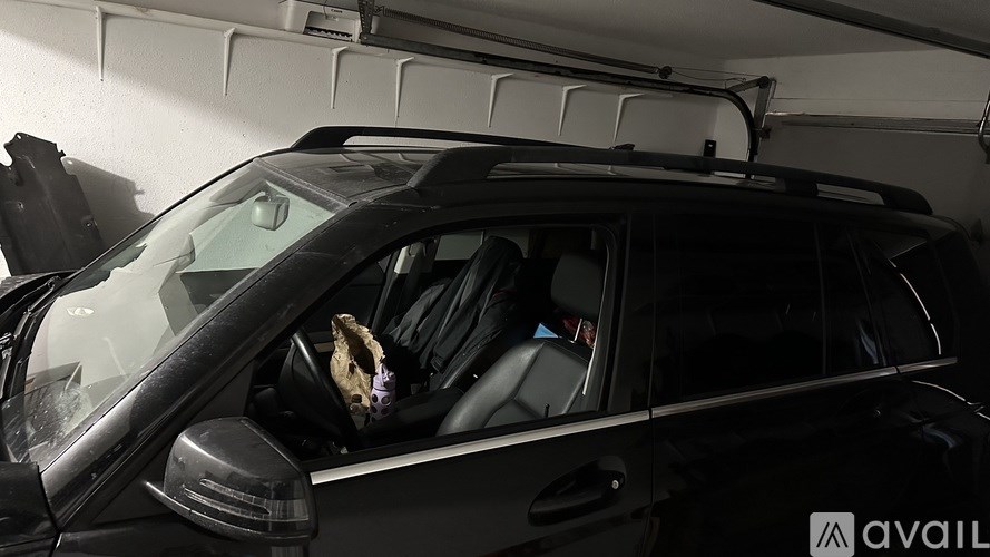 A black car with a roof rack and a dog in the driver's seat.