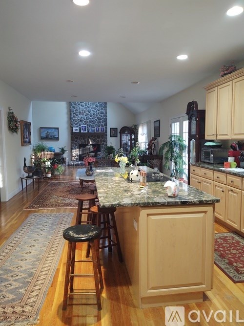 A kitchen with a bar area and a rug on the floor.
