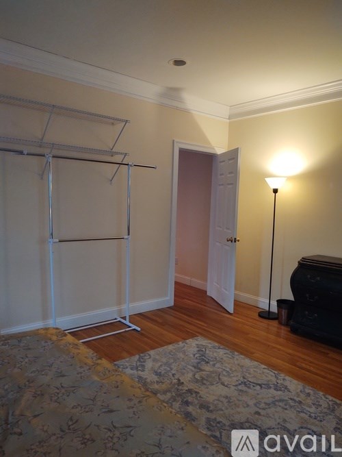 A room with a rug, a lamp, and a clothes drying rack.