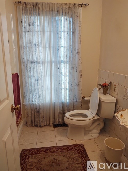 A bathroom with a toilet, a shower curtain, and a rug.
