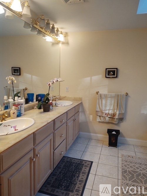 A bathroom with a sink, mirror, and a rug on the floor.
