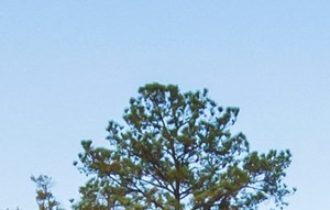 Gwinnett Square Apartments In Duluth Ga