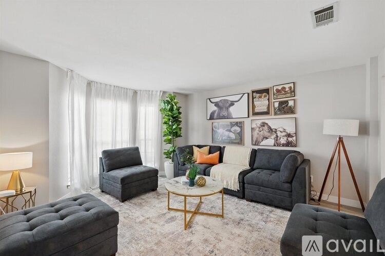 A living room with a grey sofa, a black ottoman, a coffee table, and a lamp.