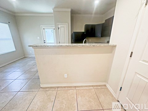 A kitchen with a counter and cabinets.