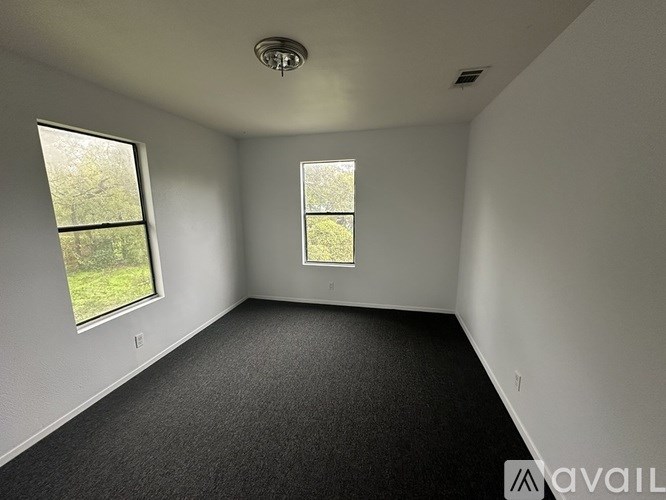 A room with two windows and a carpeted floor.