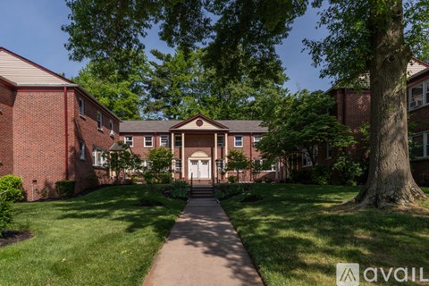 A tree in front of a building with a white door.