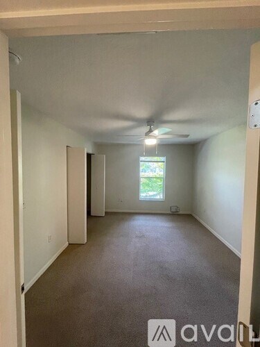 A room with a carpeted floor and a window showing greenery outside.