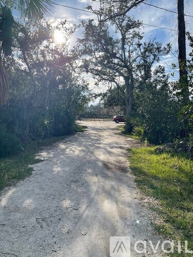 A dirt road with trees on both sides and a car in the distance.