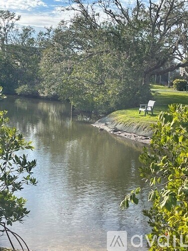 A serene lake surrounded by lush greenery and a bench on the grassy bank.