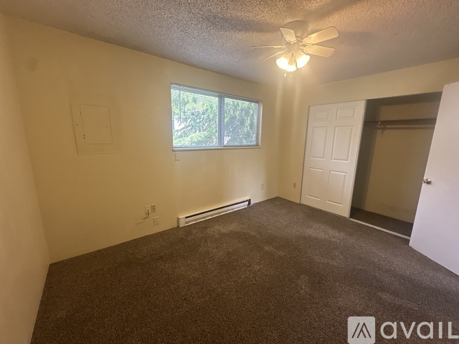 A room with a carpeted floor, a ceiling fan, and a window with a view of trees.