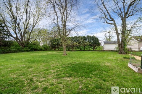 A grassy backyard with a tree and a fence.
