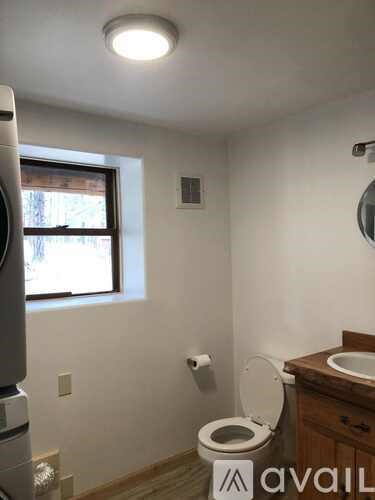 A deer is standing in a forest with tall trees.