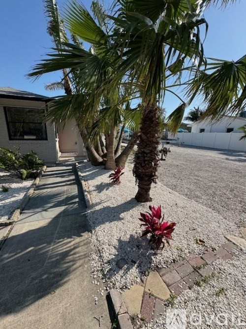 A palm tree stands in a driveway with a white house in the background.