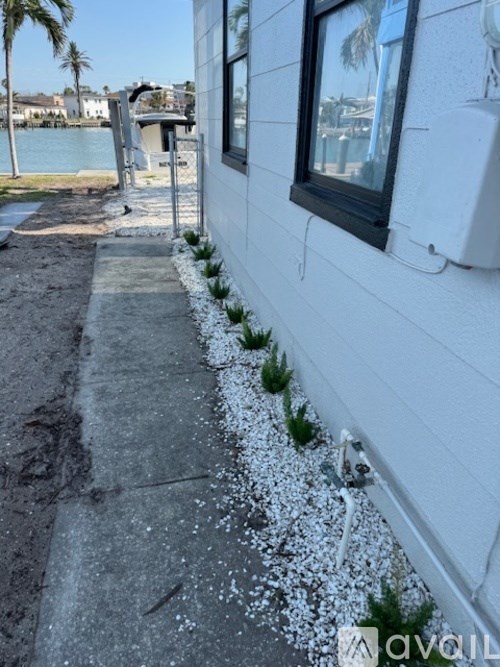A white building with a window and plants growing out of the ground.
