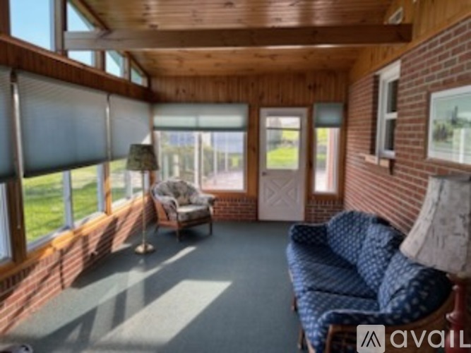 A sunny day in a living room with a couch and a chair.
