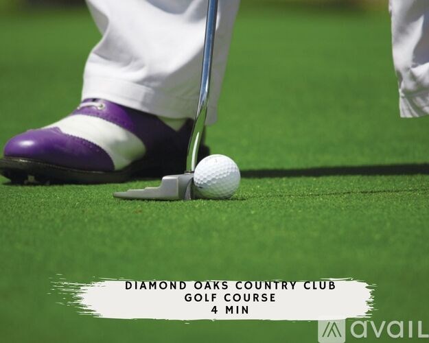 A golfer is about to take a shot at the Diamond Oaks Country Club.