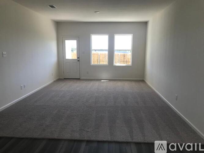 A spacious room with a carpeted floor and two windows.