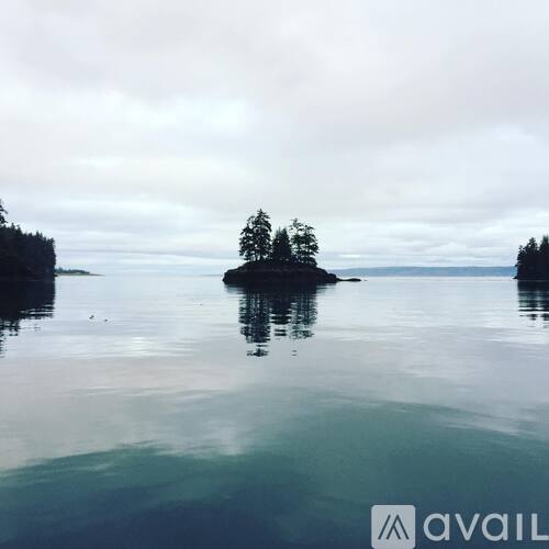 A small island with a tree stands in a calm body of water.