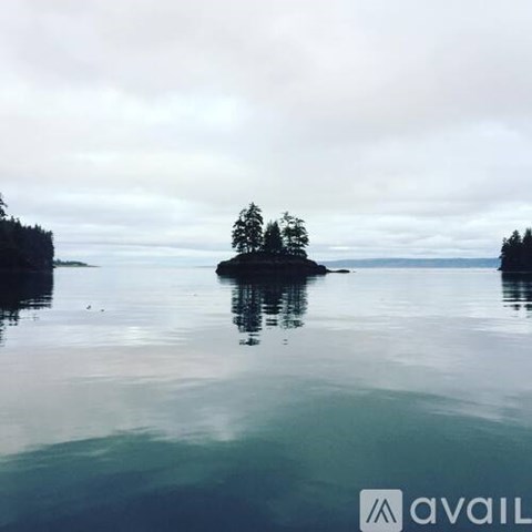 A small island with a tree stands in a calm body of water.
