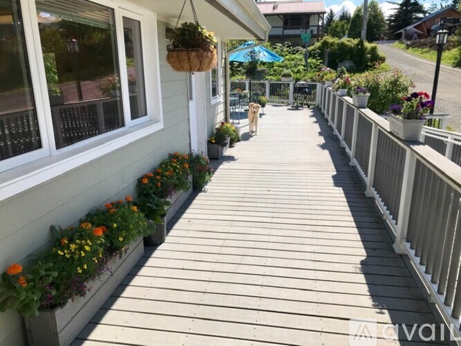 A wooden deck with a dog and potted plants.