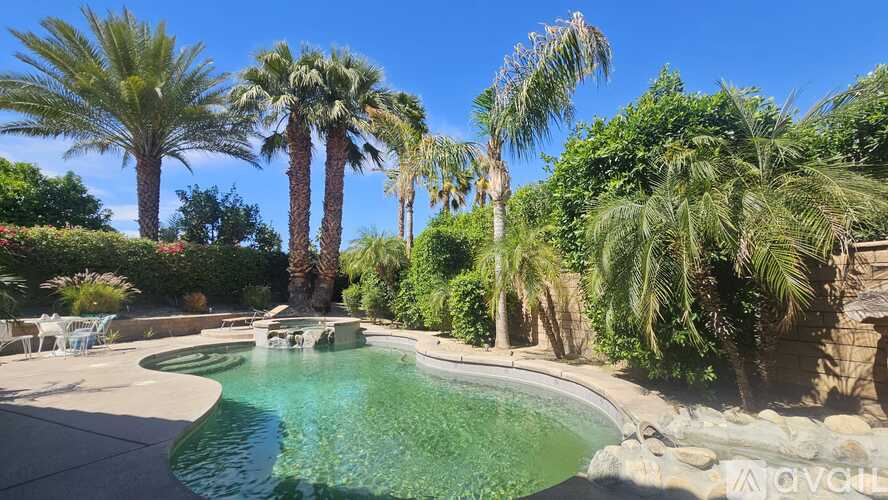 A pool surrounded by palm trees and rocks.