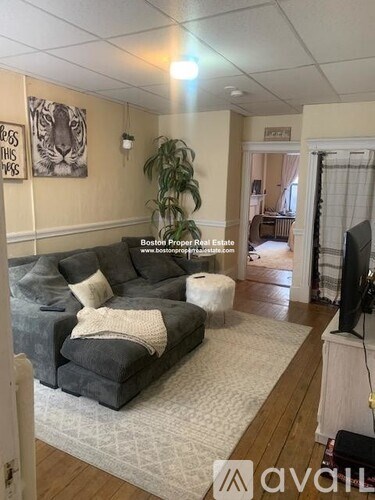 A living room with a grey couch and a white rug.