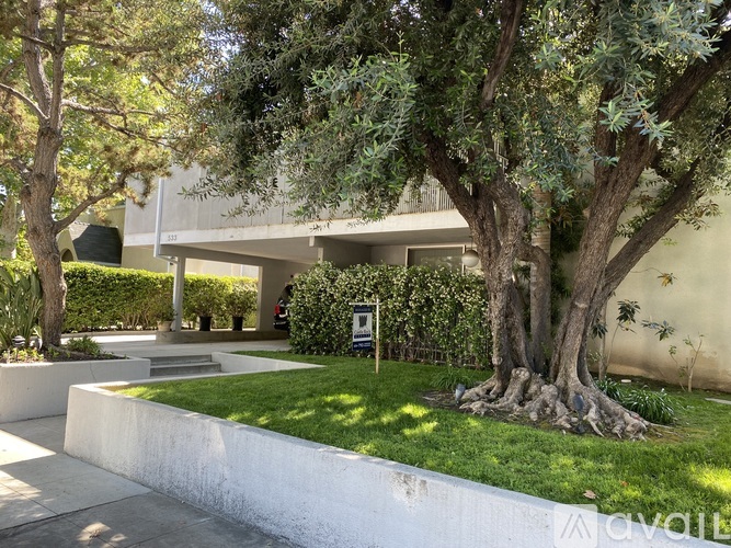 A large tree with a thick trunk and sprawling branches is the focal point of the image.