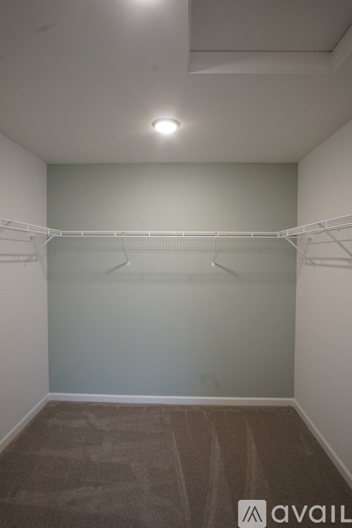 A room with a carpeted floor and a wall-mounted shelf.