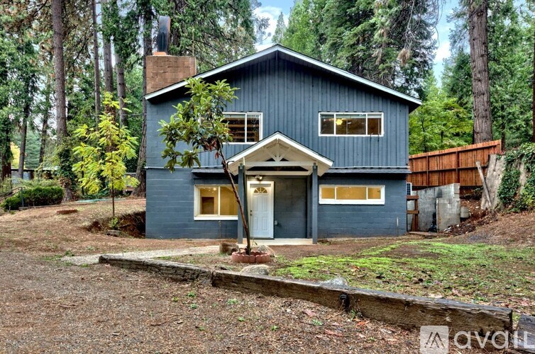 A blue house with a white door and windows is surrounded by trees.