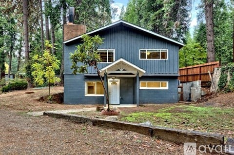 A blue house with a white door and windows is surrounded by trees.