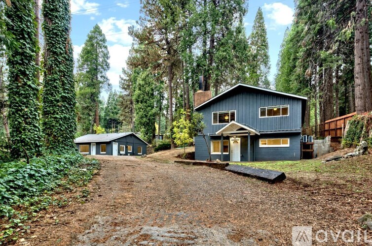 A blue house is surrounded by trees in a wooded area.