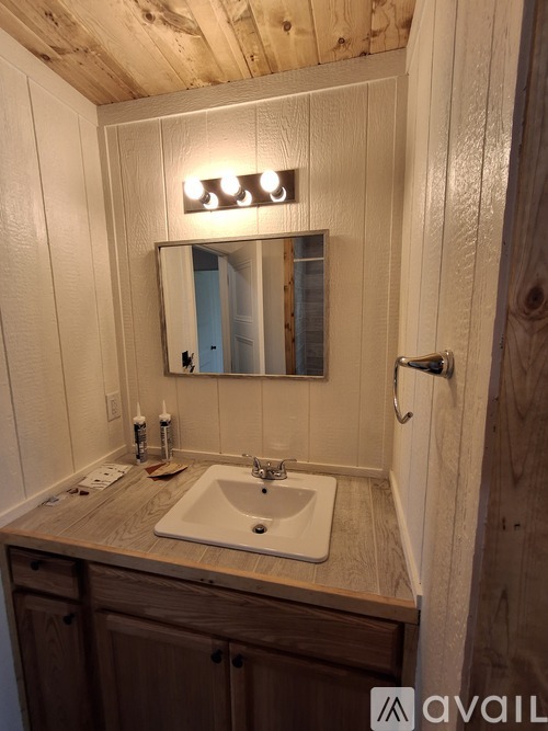 A bathroom with a sink, mirror, and wooden cabinets.