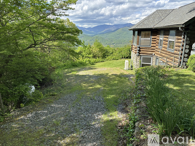A gravel path leads to a wooden cabin in a lush green forest.