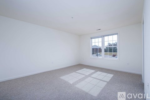 A room with a carpeted floor and a window showing a parking lot outside.