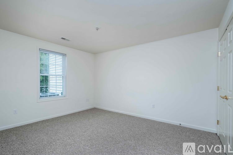 A room with a carpeted floor and two doors.