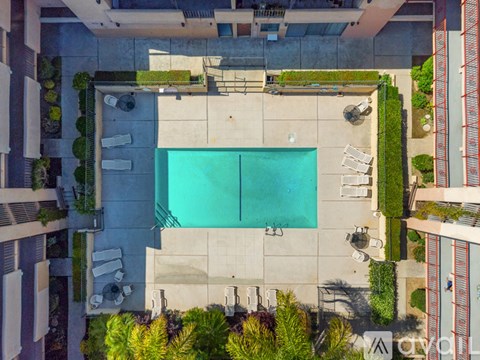 An aerial view of a swimming pool surrounded by lounge chairs and greenery.
