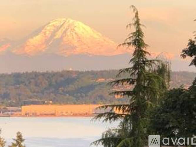 A mountain with a snow cap is in the background with trees in the foreground.