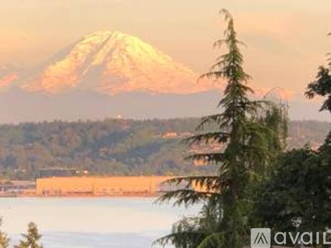 A mountain with a snow cap is in the background with trees in the foreground.